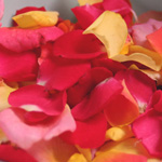 Rose Petals - Half Gallon
