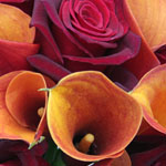 Rose and Calla Bridal Flowers