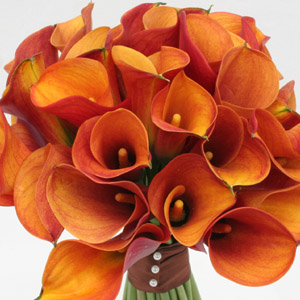 Stunning Calla Bridal Flowers - Click Image to Close